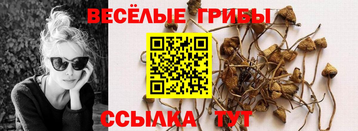 купить закладку  Вход с VPN  Наро-Фоминск  Галлюциногенные грибы ЛСД  Псилоцибиновые грибы Cubensis 