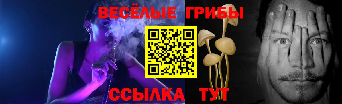 Галлюциногенные грибы GOLDEN TEACHER Наро-Фоминск
